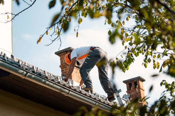 Best Emergency Roof Repair  in Morton, PA