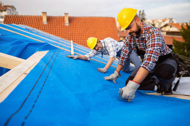 Best Roof Replacement Cost  in Morton, PA